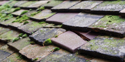 Totternhoe roof repair costs